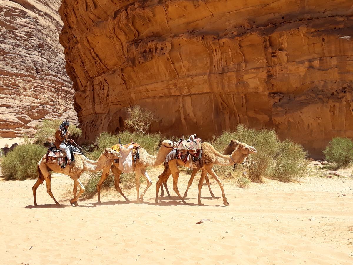 Martian Desert Camp Wadi Rum Exterior photo